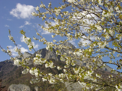 Mein Gonzen im Frühling! Mein Gonzen im Frühling!